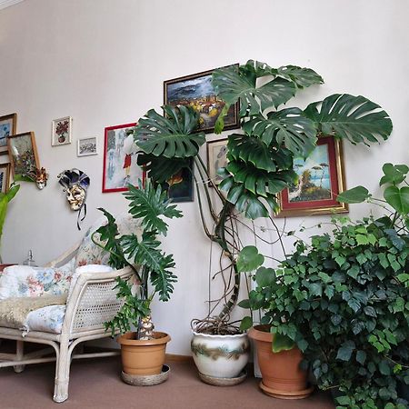 Tamari Guest House เทลาวี ภายนอก รูปภาพ