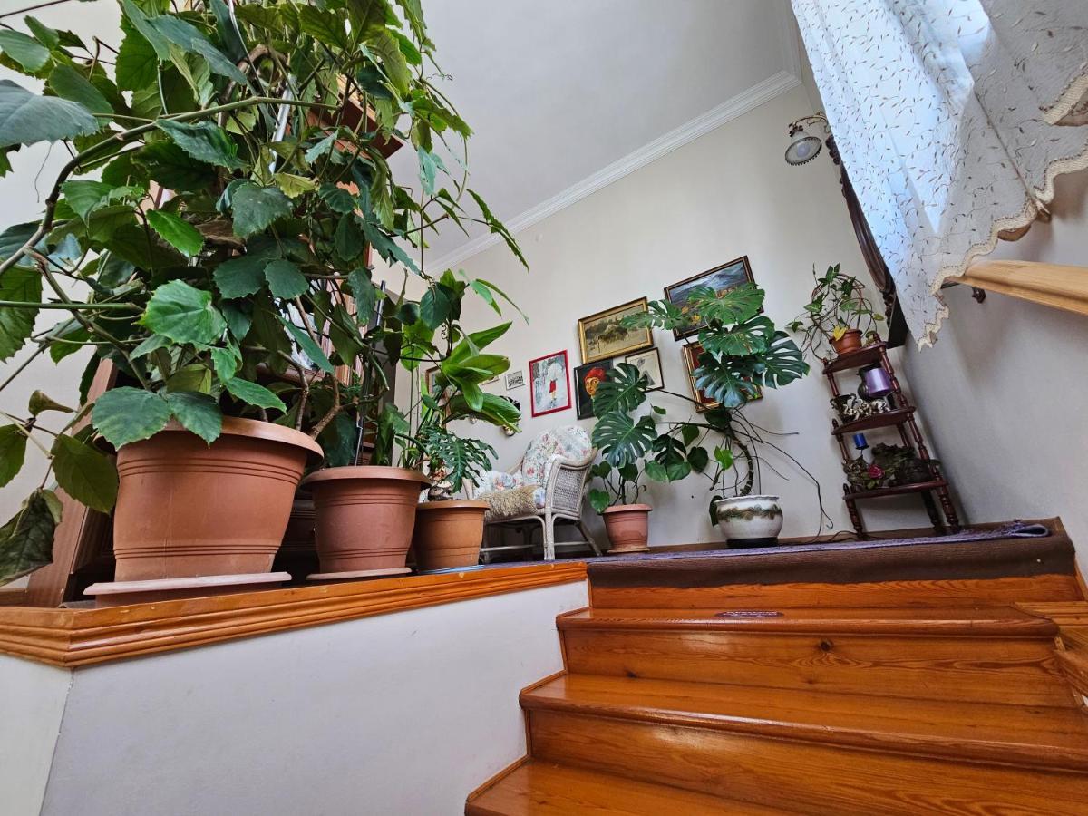 Tamari Guest House เทลาวี ภายนอก รูปภาพ