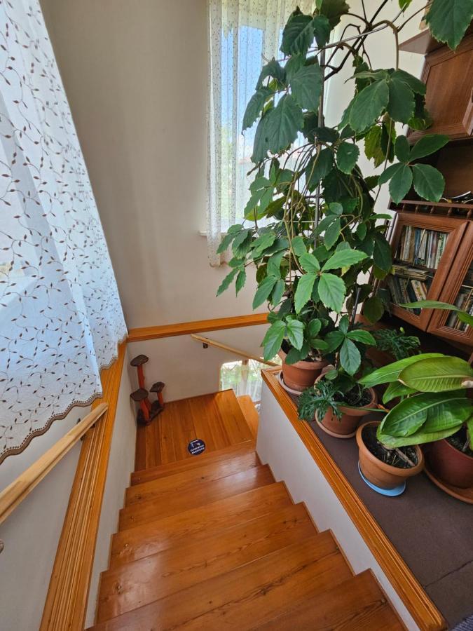 Tamari Guest House เทลาวี ภายนอก รูปภาพ