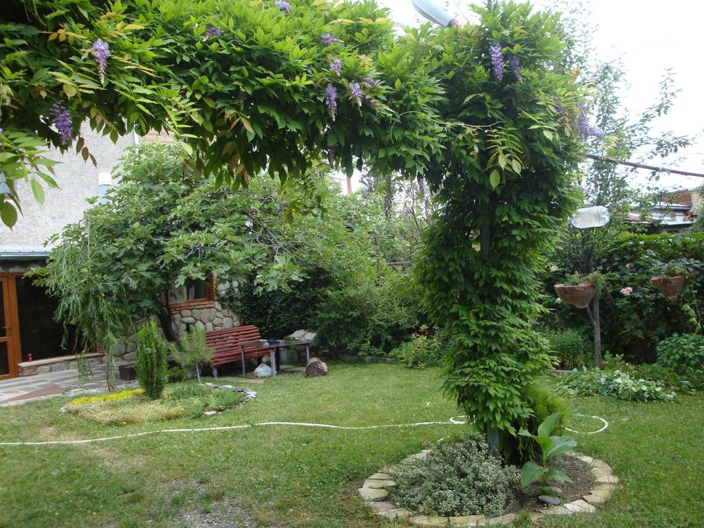 Tamari Guest House เทลาวี ภายนอก รูปภาพ