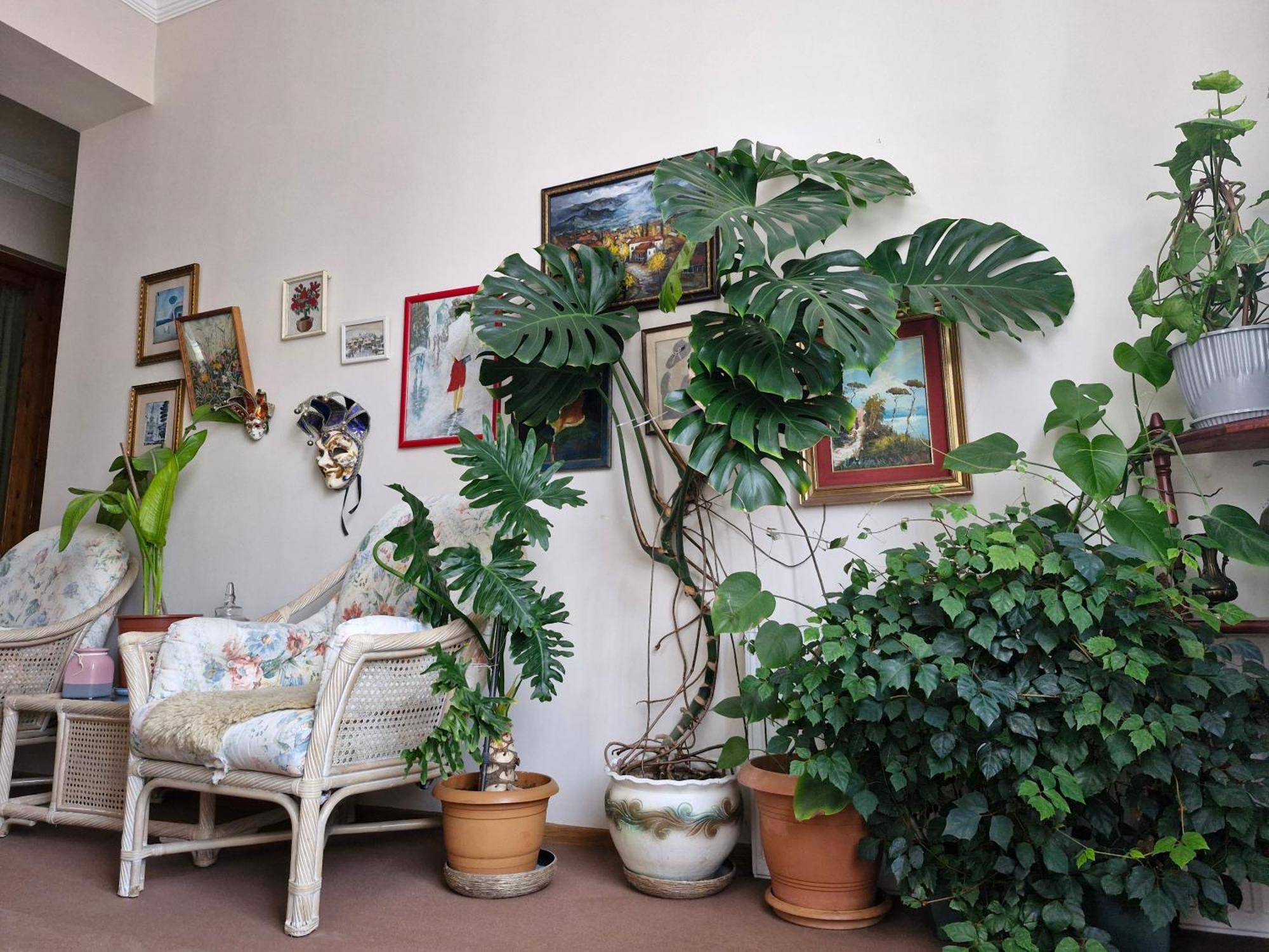 Tamari Guest House เทลาวี ภายนอก รูปภาพ