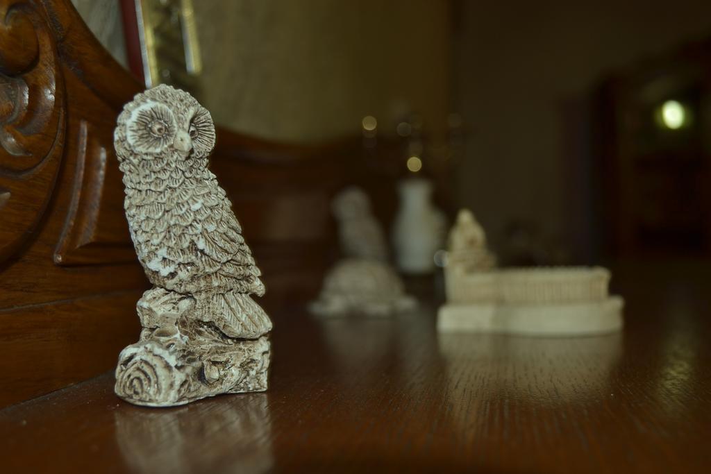 Tamari Guest House เทลาวี ภายนอก รูปภาพ