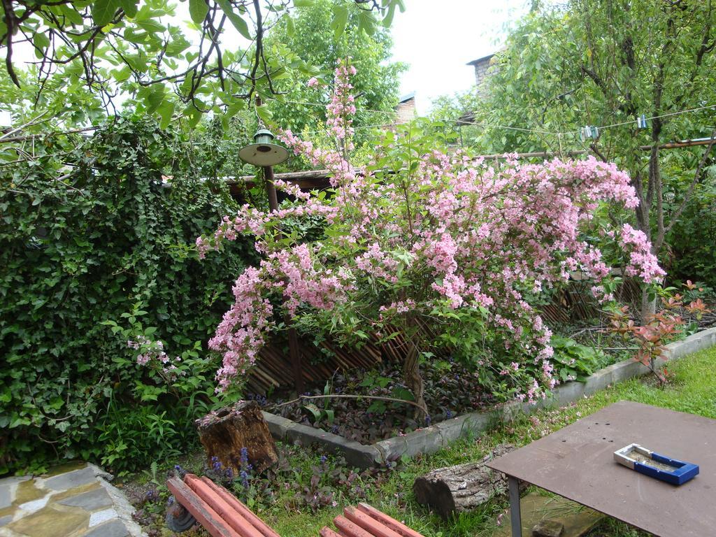 Tamari Guest House เทลาวี ภายนอก รูปภาพ